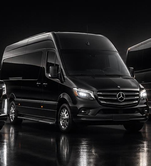 Executive Van — Mercedes-Benz Sprinter or similar